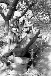 Préparation du cadju avec les pommes d'anacardier