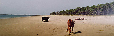 Plage de Bruce à Bubaque Bijagos